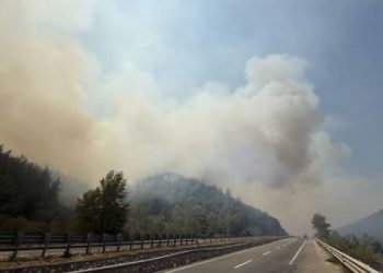 Yurdun dört bir yanında orman yangınlarıyla mücadele sürüyor