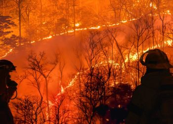 Yatırımcılar Avrupa’da afet risklerinden kazanmak istiyor