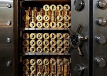 İşte bir günde 100 milyon dolarlık Bitcoin alan devlet başkanı!