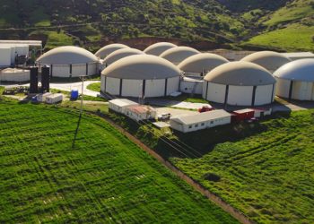 ARF Bio halka arz oluyor: Talep toplamada ilk gün!