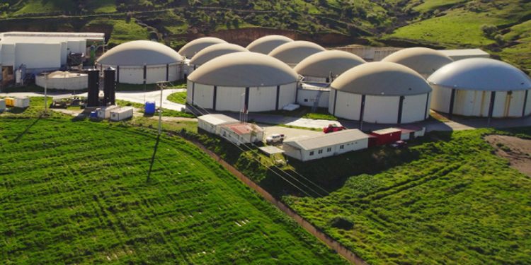 ARF Bio halka arz oluyor: Talep toplamada ilk gün!