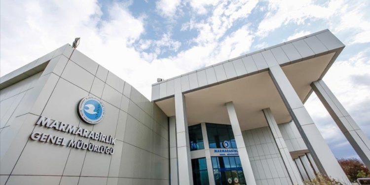 Marmarabirlik yarın ortaklarına 622 milyon TL ödeyecek