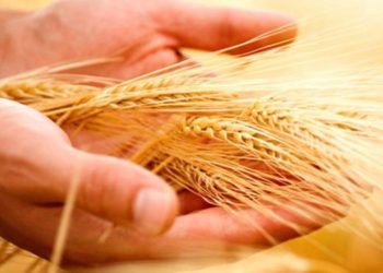 Yeni hibe düzenlemesiyle kırsalda üretim güçleniyor