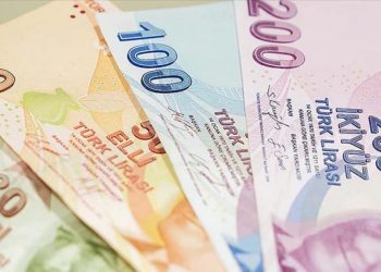 TL’nin reel değeri ocakta yükseldi